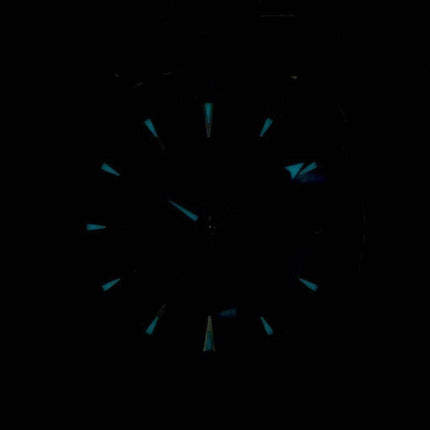 Omega Seamaster Aqua Terra Master Co-Axial Chronometer 231.10.39.21.03.002 Men's Watch