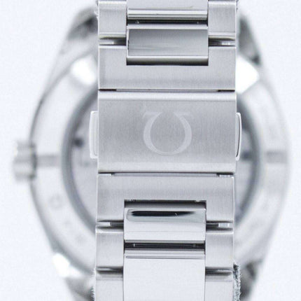 Omega Seamaster Aqua Terra Master Co-Axial Chronometer 231.10.39.21.03.002 Men's Watch