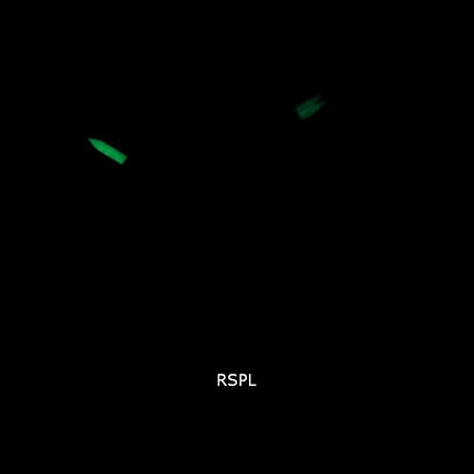 Casio G-Shock Special Colour Analog Digital Tough Solar AWR-M100SMG-1A AWRM100SMG-1 200M Mens Watch