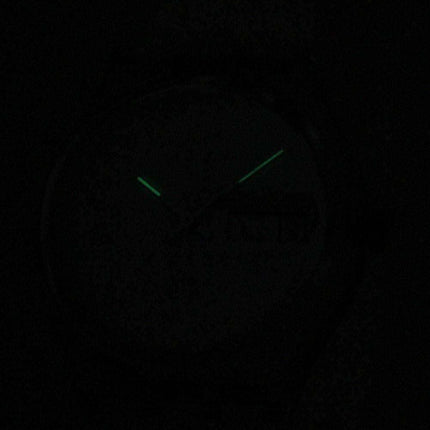 Swatch Originals Snowcovered Swiss Quartz GK733 Unisex Watch