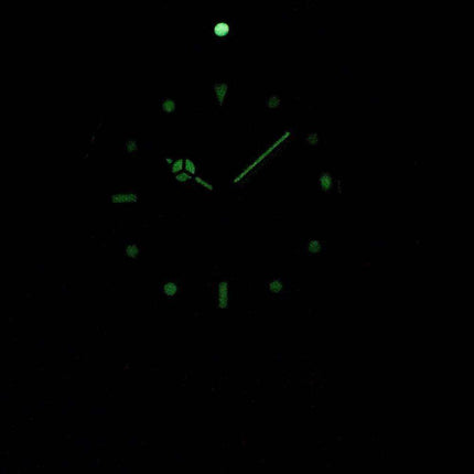 Invicta Pro Diver Professional 29185 Automatic Analog 200M Men's Watch