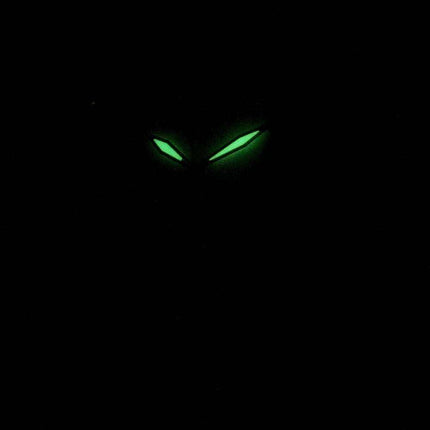 Seiko Quartz Diamond Accents SKK886 SKK886P1 SKK886P Women's Watch