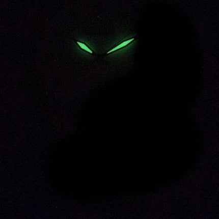 Seiko Quartz Diamond Accents SKK888 SKK888P1 SKK888P Women's Watch