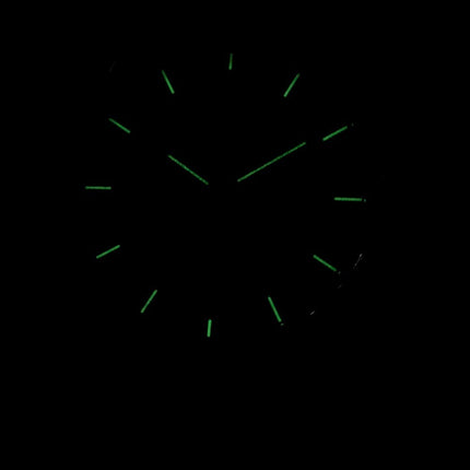 Skagen Holst Multifunction Stainless Steel Quartz SKW6086 Mens Watch