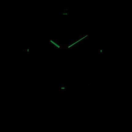 Seiko Solar Powered 100M SNE361P1 SNE361P SNE361 Mens Watch