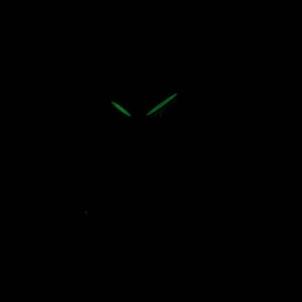 Seiko Lukia Chronograph Quartz SRWZ97 SRWZ97P1 SRWZ97P Women's Watch