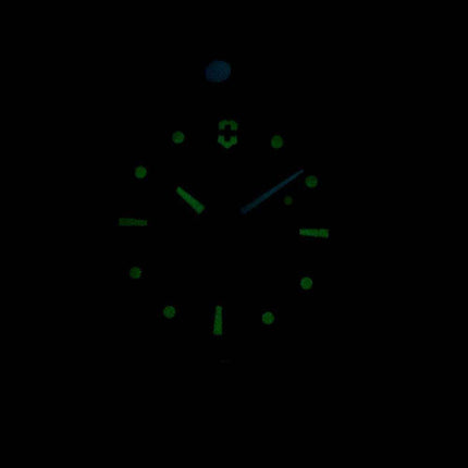 Victorinox I.N.O.X. Swiss Army Professional Diver 200M Quartz 241736 Men's Watch