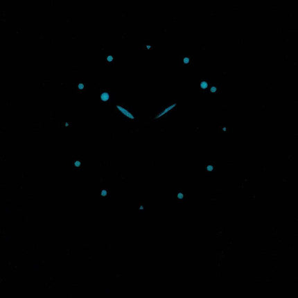 Zeppelin Series 100 Years ED.1 Germany Made 7640-2 76402 Men's Watch